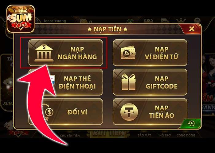 Chọn phương thức ngân hàng Chọn phương thức ngân hàng