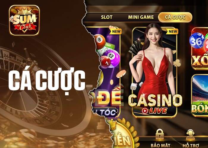 Giới thiệu về Cá Cược Sumclub Giới thiệu về Cá Cược Sumclub