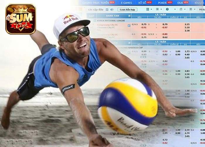 Giới thiệu luật chơi Cá Cược Bóng Chuyền tại SUMCLUB Giới thiệu luật chơi Cá Cược Bóng Chuyền tại SUMCLUB
